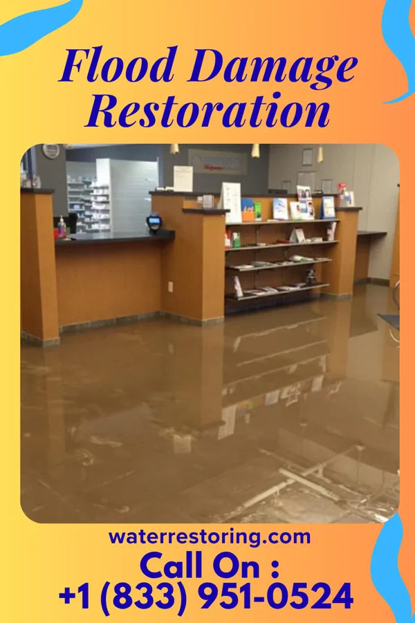 Flood Damage Restoration in Camano, WA